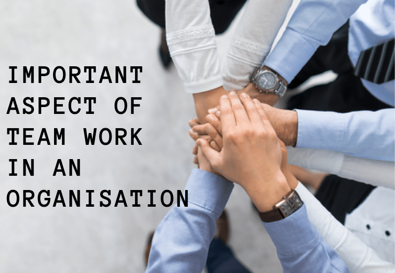 Why teamwork is an important aspect of every organization? Shared by Kaseem Mohammad Ajami