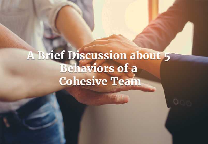 A Brief Discussion about 5 Behaviors of a Cohesive Team
